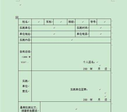 大学生暑期社会实践报告表格加范文_绿盟市场