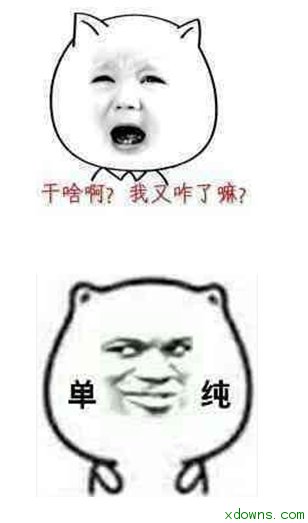 小可爱大全表情超喵可爱的表情包喵图片