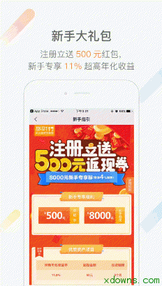 收入证明_绿盟收入(3)