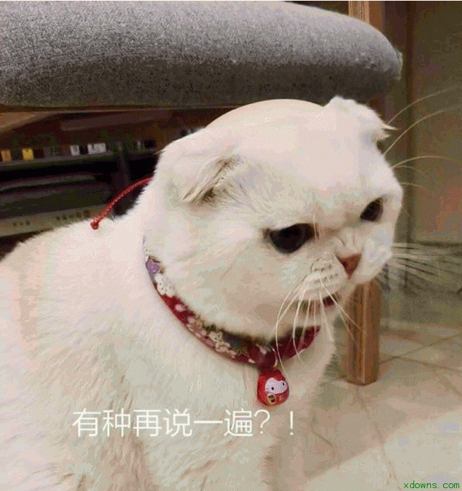 抖音会说话的刘二豆表情包 高清无水印