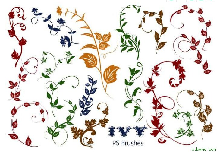20种植物常青藤花纹图案ps笔刷工具