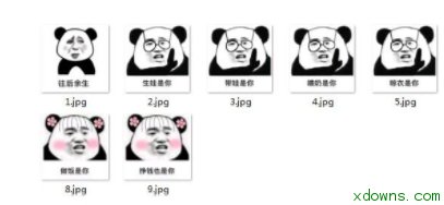 熊猫头往后余生9枚qq表情包