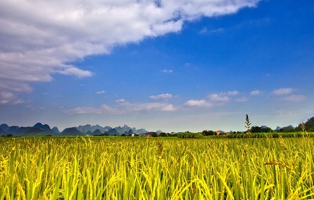 九月唯美小清新图片-展现九月美景