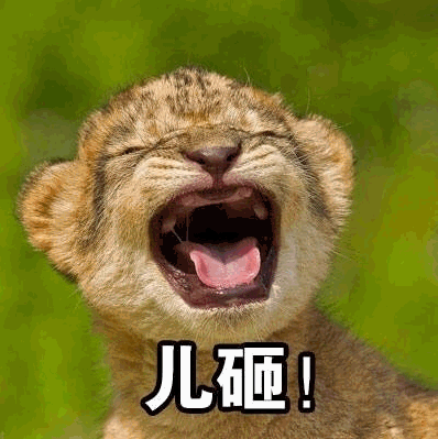 动物喊儿砸qq表情包
