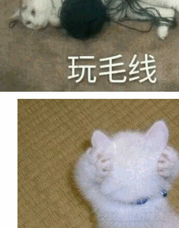 动物表情包