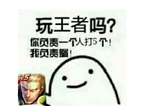 王者荣耀斗图表情包 全套 最新版