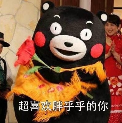 熊本熊之超喜欢胖乎乎的你表情包