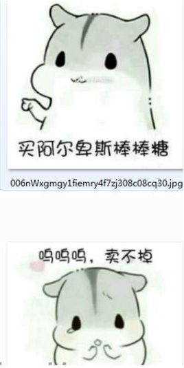 小仓鼠卖了你买糖吃头像表情表情包emoji搞笑图片图片